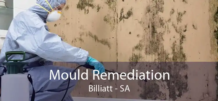 Mould Remediation Billiatt - SA