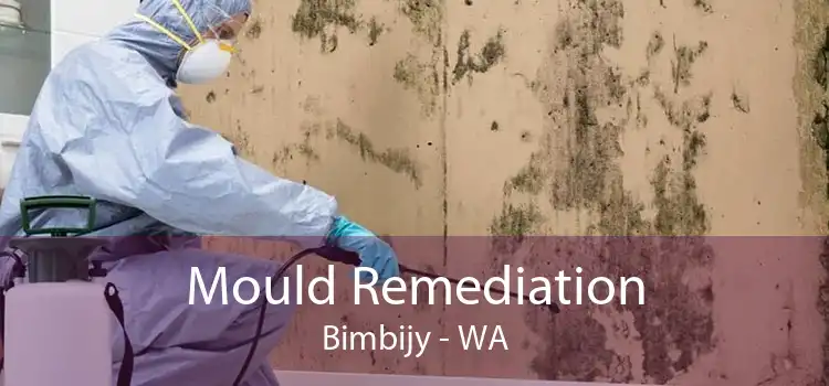Mould Remediation Bimbijy - WA