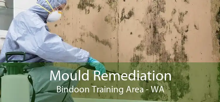 Mould Remediation Bindoon Training Area - WA