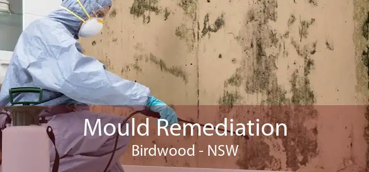 Mould Remediation Birdwood - NSW