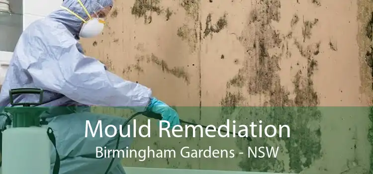 Mould Remediation Birmingham Gardens - NSW