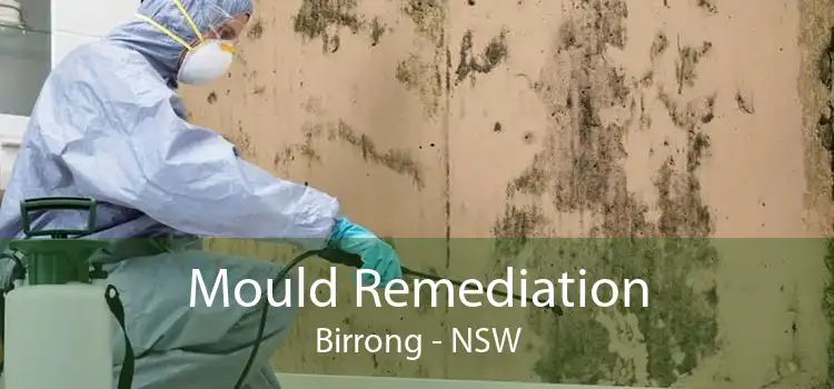 Mould Remediation Birrong - NSW