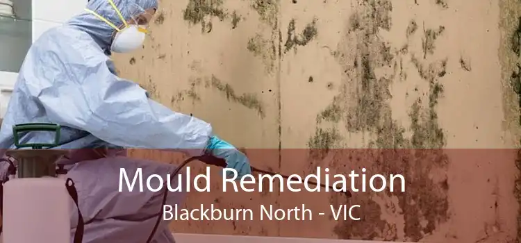 Mould Remediation Blackburn North - VIC