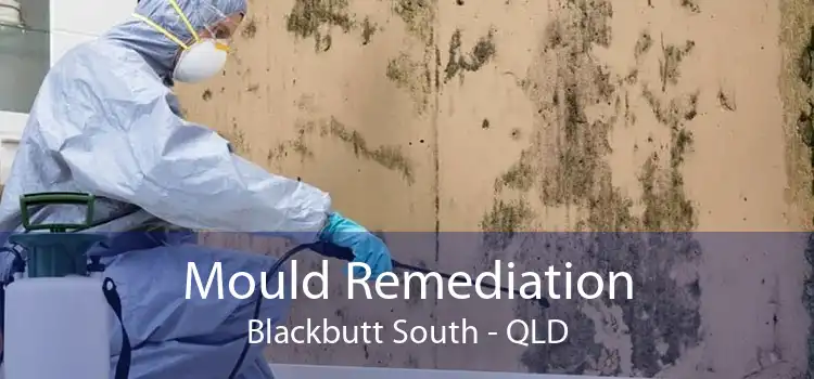 Mould Remediation Blackbutt South - QLD