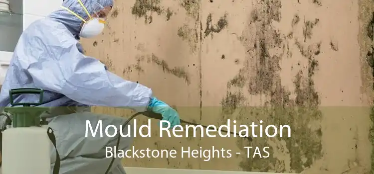 Mould Remediation Blackstone Heights - TAS