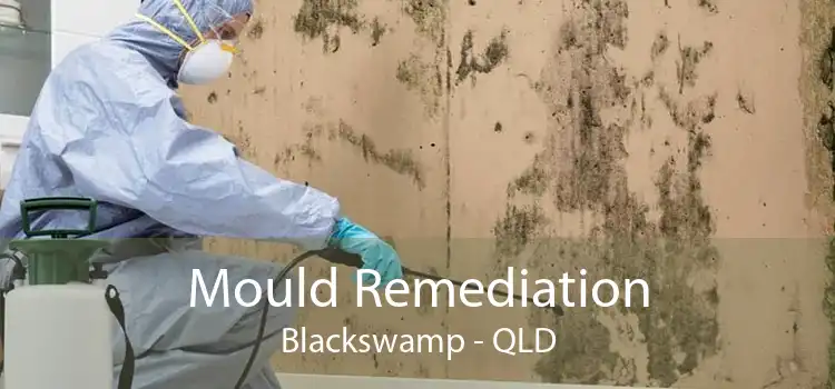 Mould Remediation Blackswamp - QLD