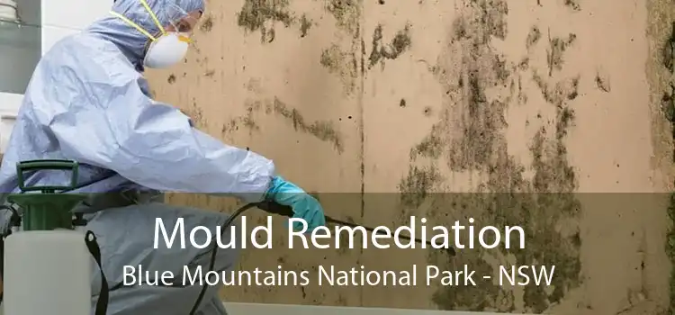 Mould Remediation Blue Mountains National Park - NSW