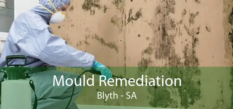 Mould Remediation Blyth - SA