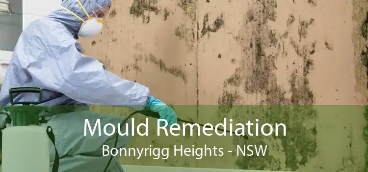 Mould Remediation Bonnyrigg Heights - NSW