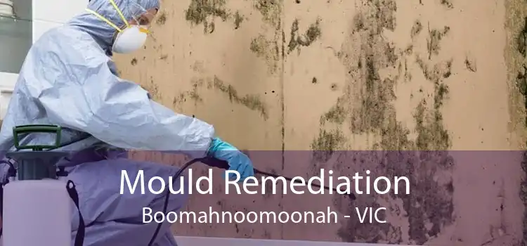 Mould Remediation Boomahnoomoonah - VIC