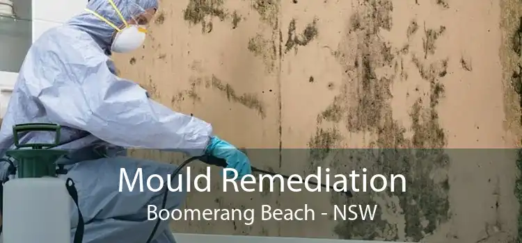 Mould Remediation Boomerang Beach - NSW