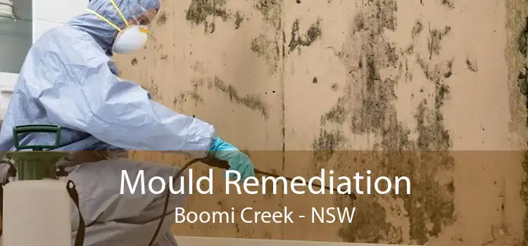 Mould Remediation Boomi Creek - NSW
