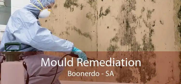 Mould Remediation Boonerdo - SA