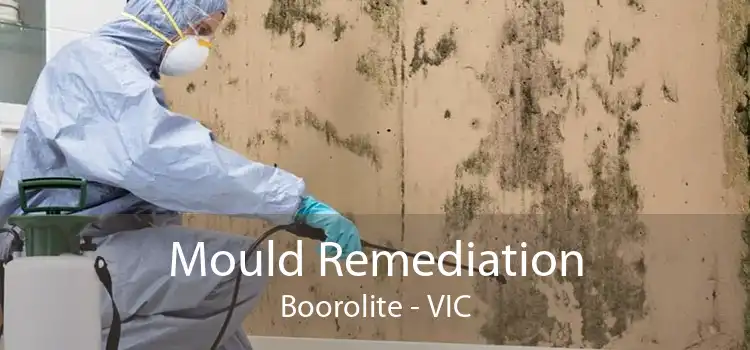 Mould Remediation Boorolite - VIC