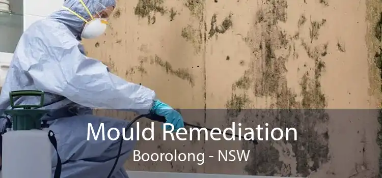 Mould Remediation Boorolong - NSW