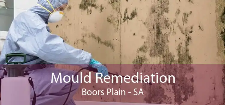 Mould Remediation Boors Plain - SA