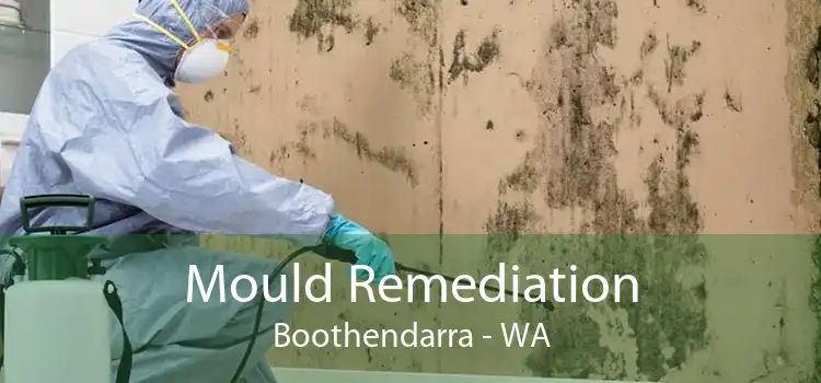 Mould Remediation Boothendarra - WA