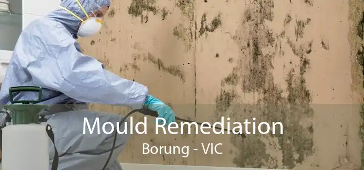Mould Remediation Borung - VIC