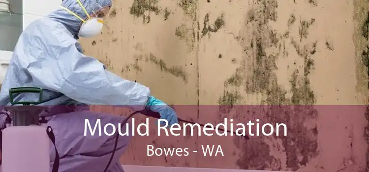 Mould Remediation Bowes - WA