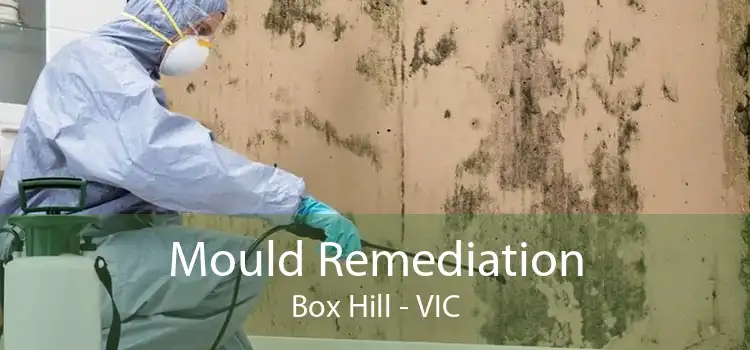 Mould Remediation Box Hill - VIC