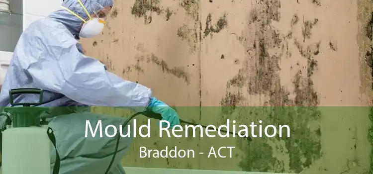 Mould Remediation Braddon - ACT