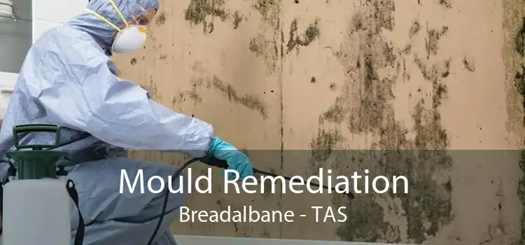 Mould Remediation Breadalbane - TAS