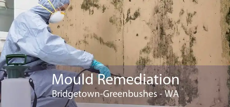 Mould Remediation Bridgetown-Greenbushes - WA