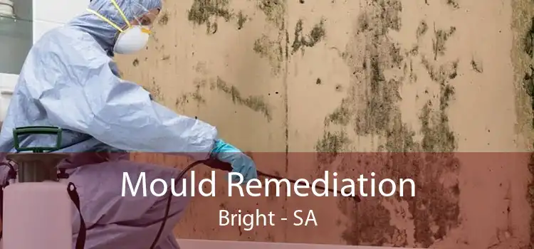 Mould Remediation Bright - SA