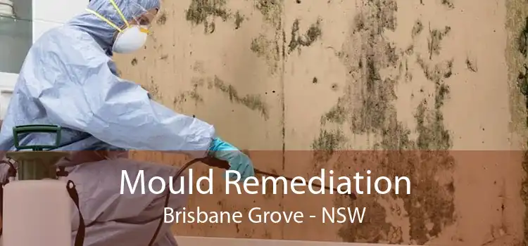 Mould Remediation Brisbane Grove - NSW