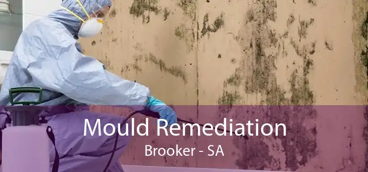Mould Remediation Brooker - SA