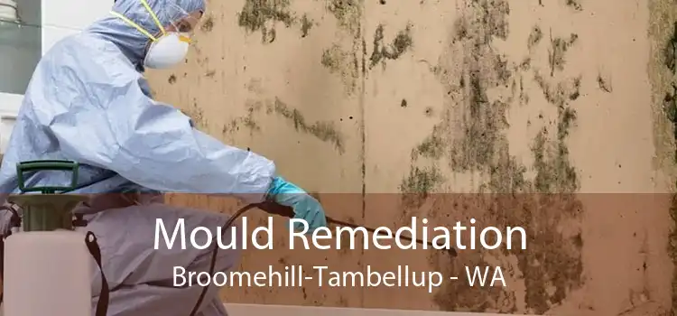 Mould Remediation Broomehill-Tambellup - WA