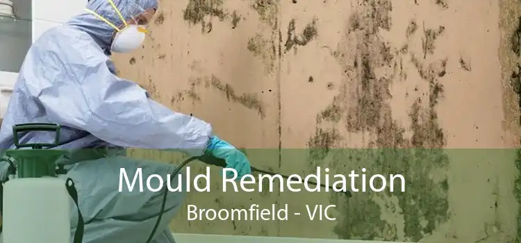 Mould Remediation Broomfield - VIC