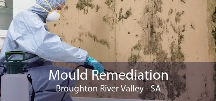 Mould Remediation Broughton River Valley - SA