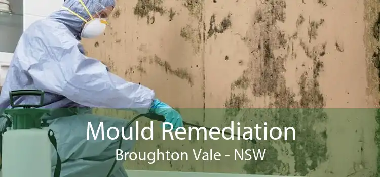Mould Remediation Broughton Vale - NSW