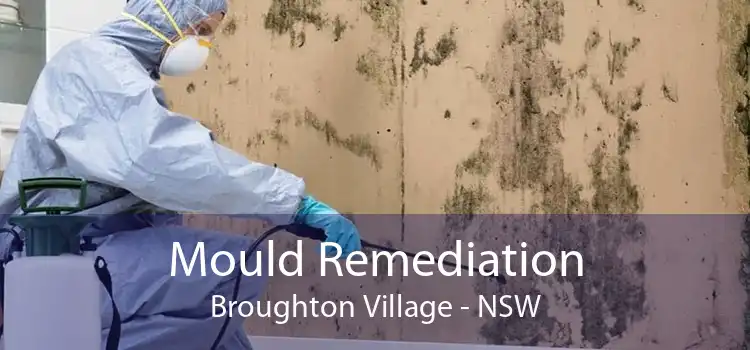 Mould Remediation Broughton Village - NSW