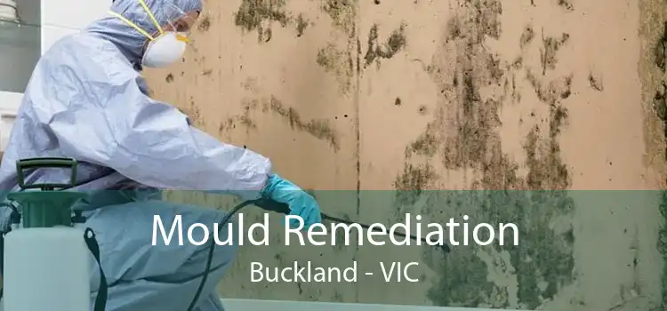 Mould Remediation Buckland - VIC