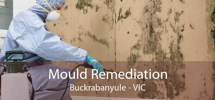 Mould Remediation Buckrabanyule - VIC