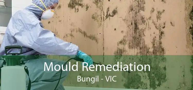 Mould Remediation Bungil - VIC