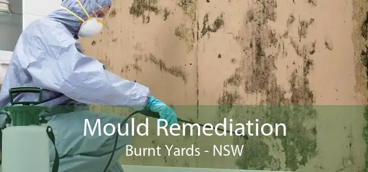 Mould Remediation Burnt Yards - NSW