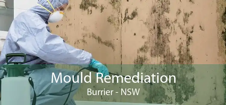 Mould Remediation Burrier - NSW