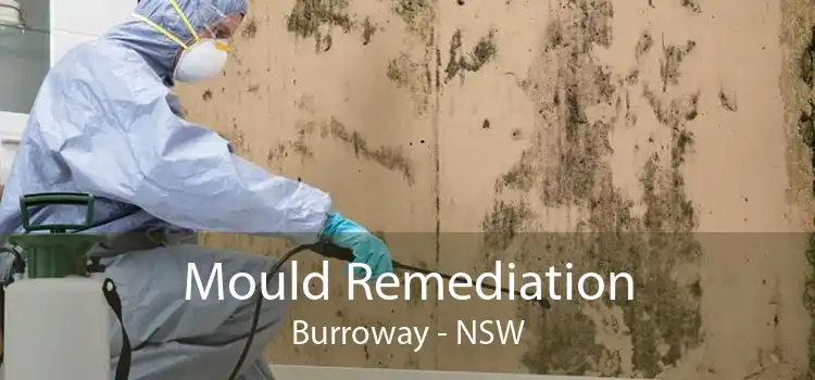 Mould Remediation Burroway - NSW