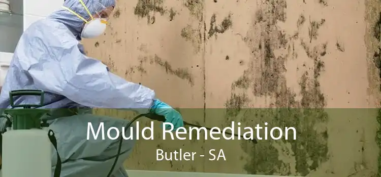 Mould Remediation Butler - SA