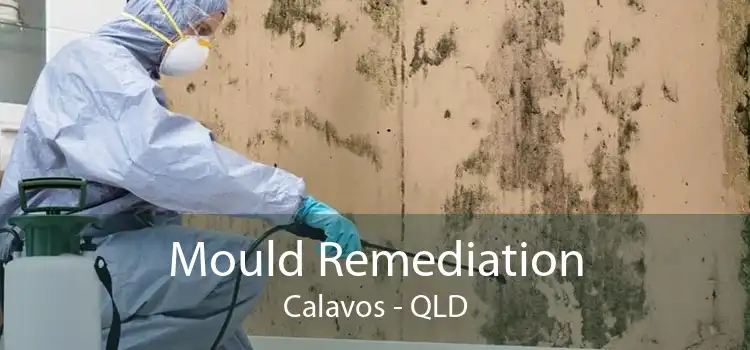 Mould Remediation Calavos - QLD