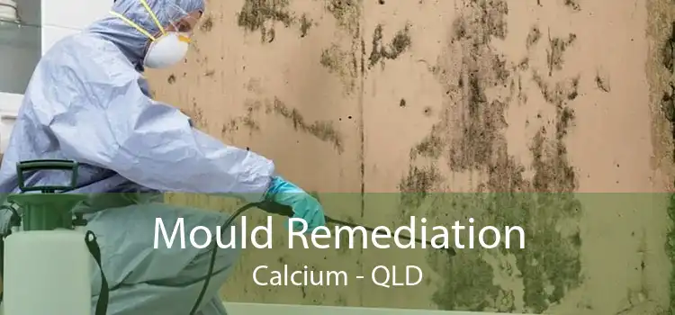 Mould Remediation Calcium - QLD