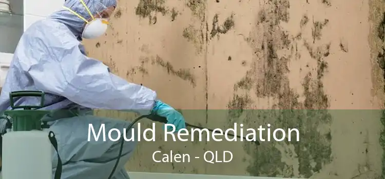 Mould Remediation Calen - QLD