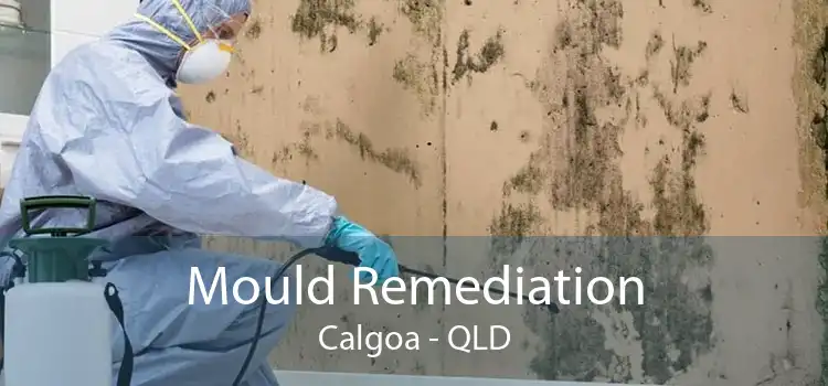 Mould Remediation Calgoa - QLD