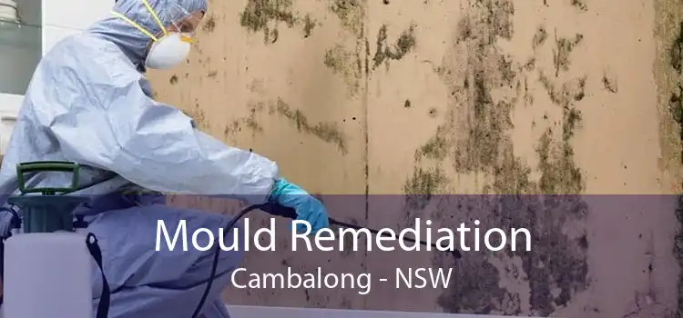 Mould Remediation Cambalong - NSW