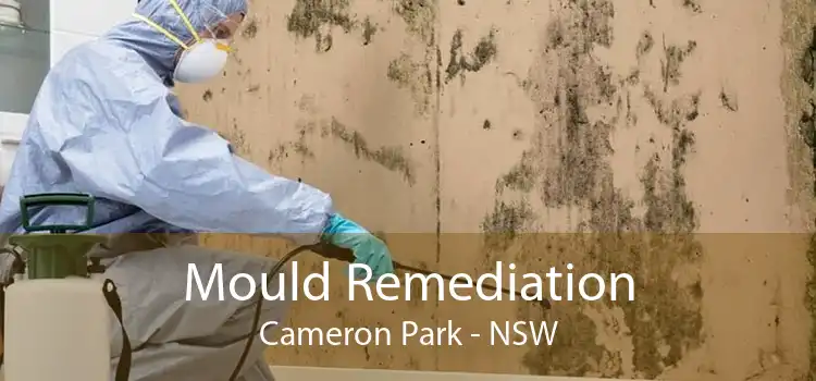 Mould Remediation Cameron Park - NSW