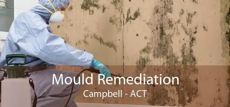 Mould Remediation Campbell - ACT