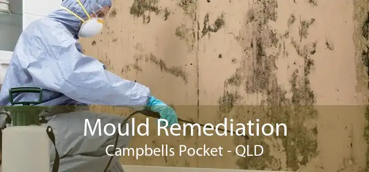 Mould Remediation Campbells Pocket - QLD